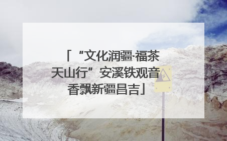 “文化润疆·福茶天山行”安溪铁观音香飘新疆昌吉